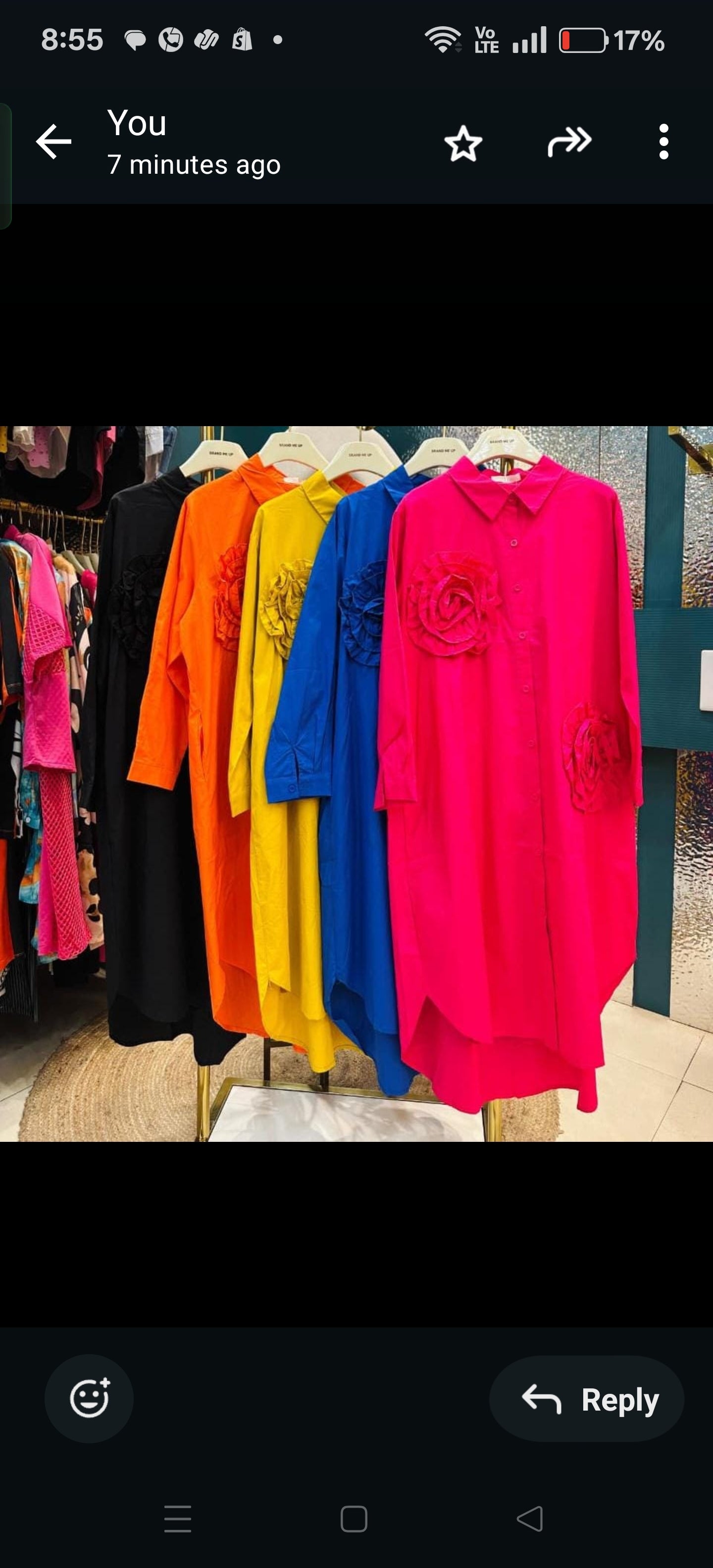 Statement Bloom Shirt Dress 3D flower detailing