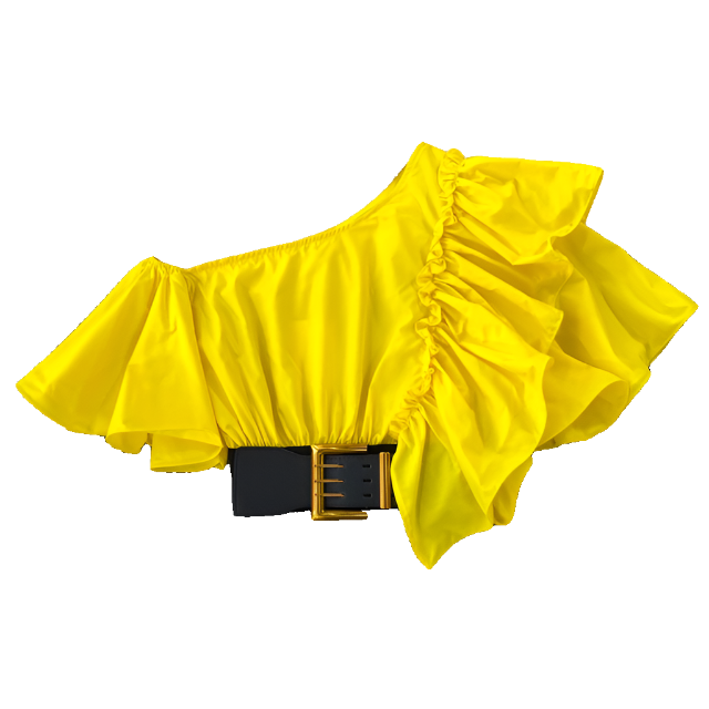 Women Puff Off Shoulder Ruffles Blouse with Belts, Women's Blouse Chic Cropped  top